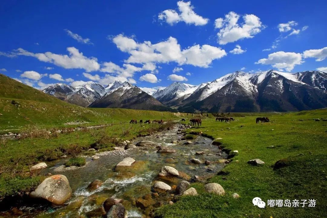 丝路瑰宝，新疆的多民族历史与文化画卷